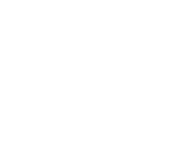 Fenix Motos